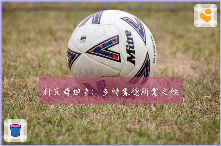 科瓦奇坦言：多特蒙德所需之物