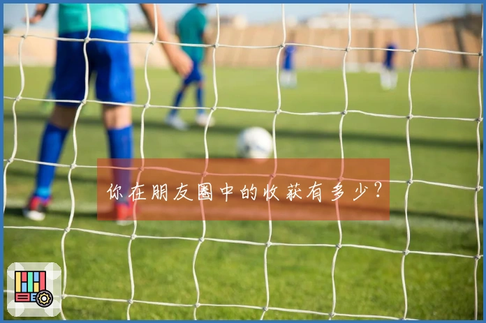 你在朋友圈中的收获有多少？